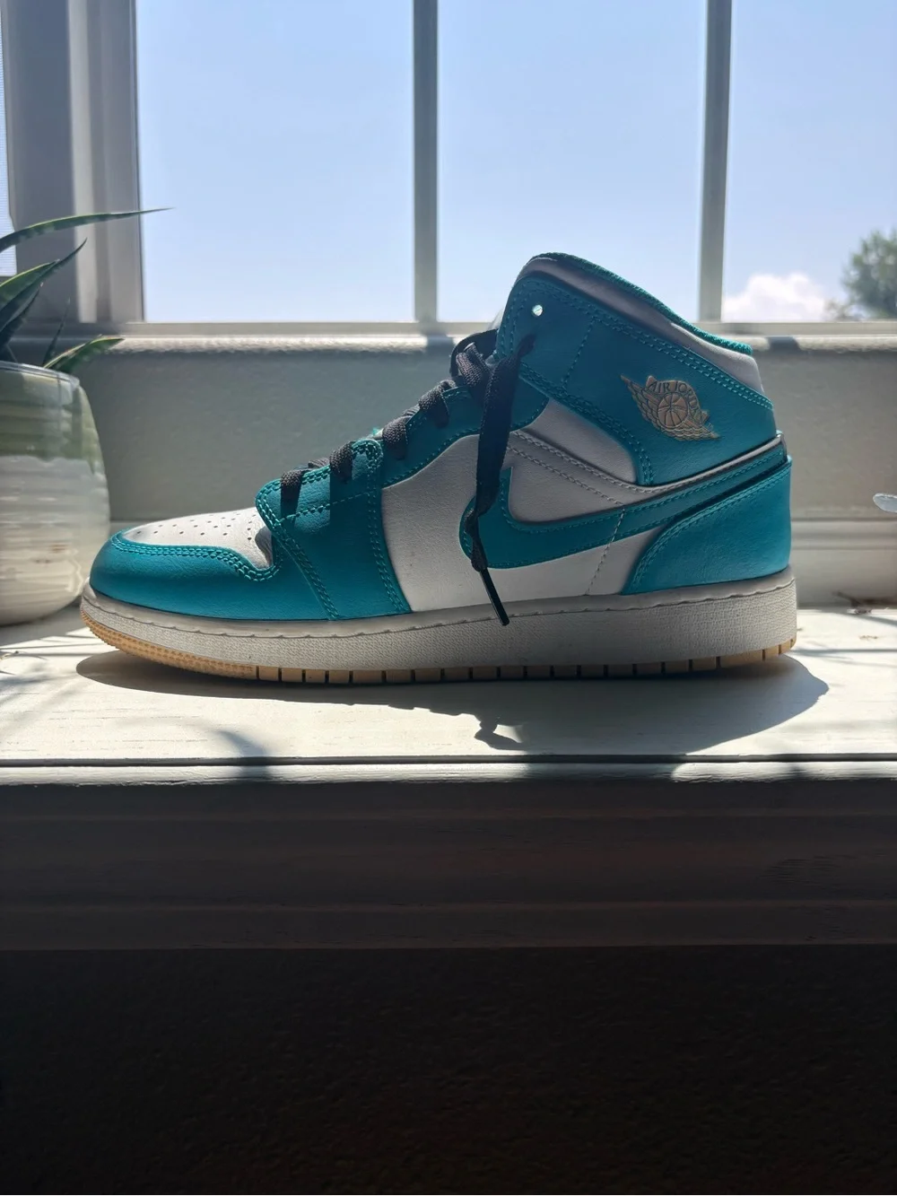Jordan Teal and White Low-Top Sneaker